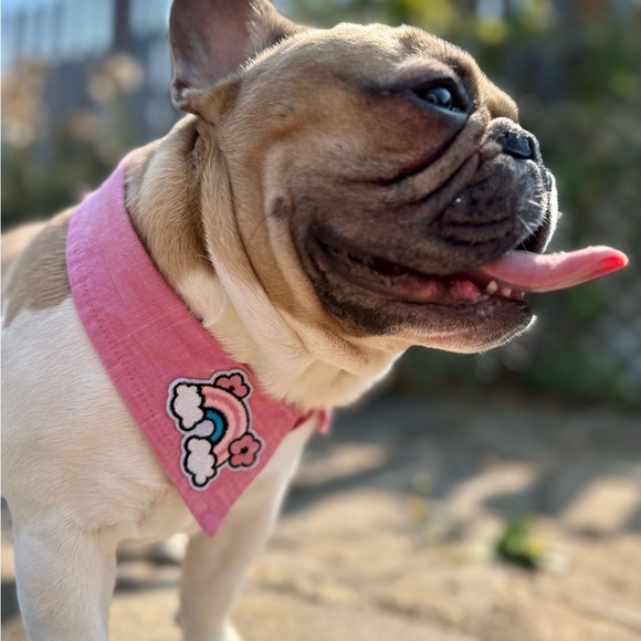 Upcycled - Dog Collar Accessory - Pink Rainbow Patch - one of a Kind - Dress up - Picture 4 of 9
